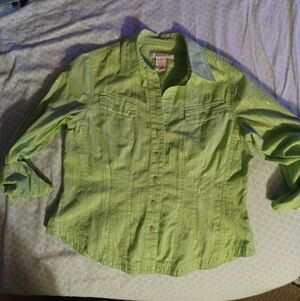 Nine & Company womens small green w metallic thin stripes button up long sleeve